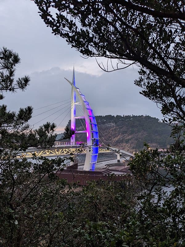 white structure over bridge lit up in pink and purple with tree branches and leaves blocking half of the image